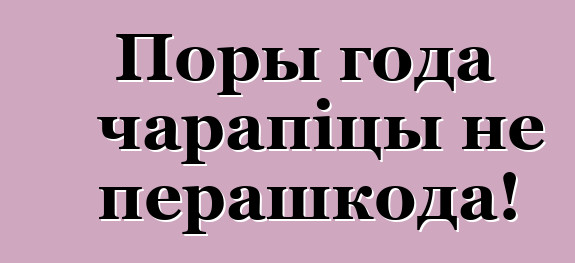 Поры года чарапіцы не перашкода!