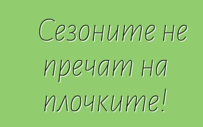 Сезоните не пречат на плочките!