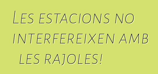 Les estacions no interfereixen amb les rajoles!