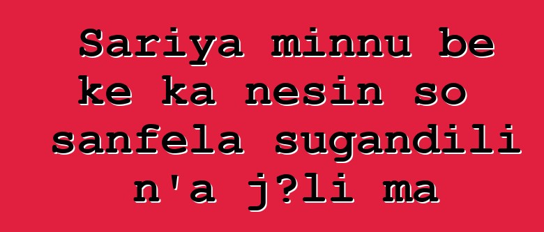 Sariya minnu bɛ kɛ ka ɲɛsin so sanfɛla sugandili n’a jɔli ma