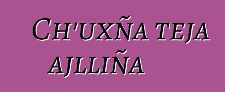 Ch’uxña teja ajlliña