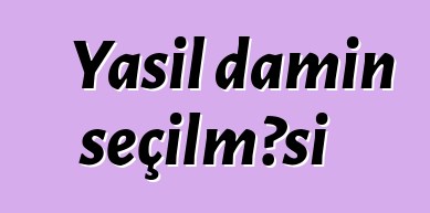 Yaşıl damın seçilməsi