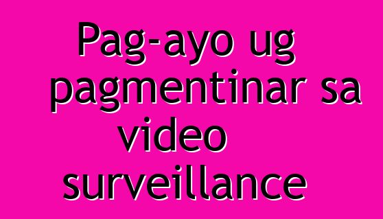 Pag-ayo ug pagmentinar sa video surveillance