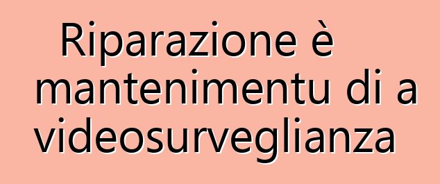 Riparazione è mantenimentu di a videosurveglianza