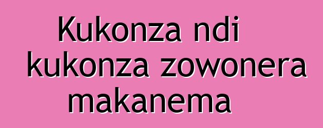 Kukonza ndi kukonza zowonera makanema