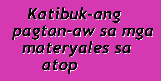 Katibuk-ang pagtan-aw sa mga materyales sa atop