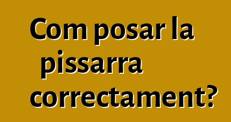 Com posar la pissarra correctament?