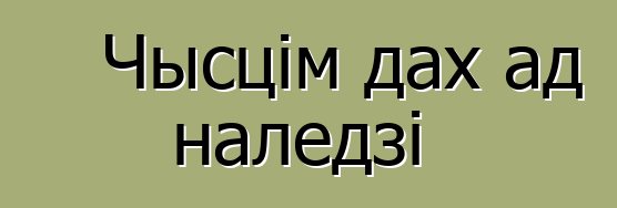 Чысцім дах ад наледзі