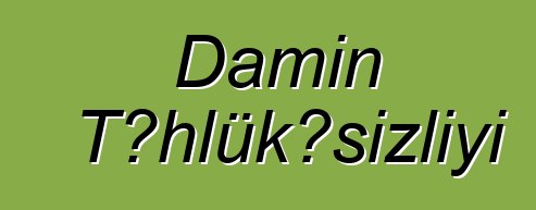 Damın Təhlükəsizliyi