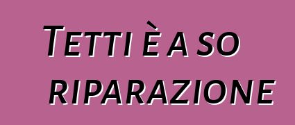 Tetti è a so riparazione