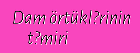 Dam örtüklərinin təmiri