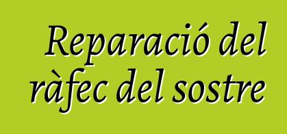 Reparació del ràfec del sostre