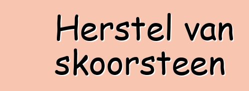 Herstel van skoorsteen