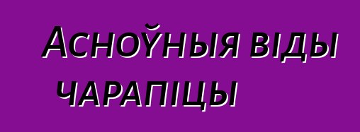 Асноўныя віды чарапіцы