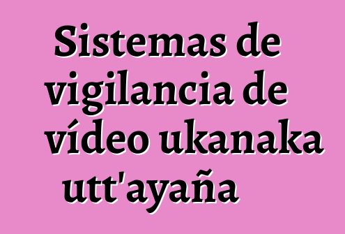 Sistemas de vigilancia de vídeo ukanaka utt’ayaña