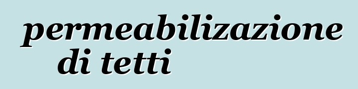 Impermeabilizazione di tetti