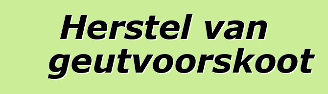 Herstel van geutvoorskoot