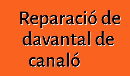 Reparació de davantal de canaló