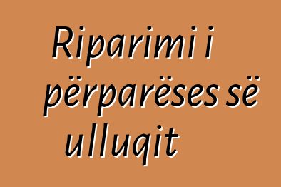 Riparimi i përparëses së ulluqit