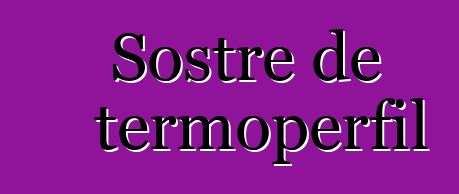 Sostre de termoperfil