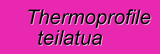 Thermoprofile teilatua