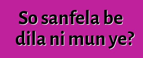 So sanfɛla bɛ dila ni mun ye?