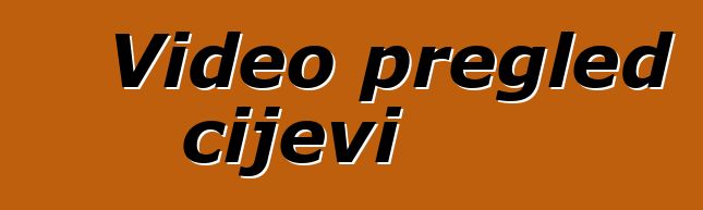 Video pregled cijevi