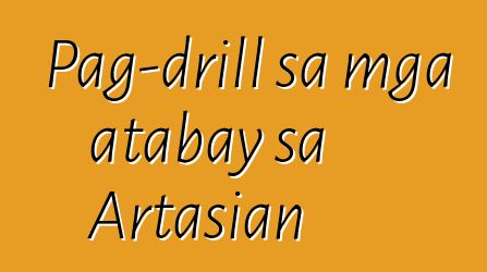 Pag-drill sa mga atabay sa Artasian