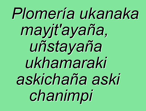 Plomería ukanaka mayjt’ayaña, uñstayaña ukhamaraki askichaña aski chanimpi