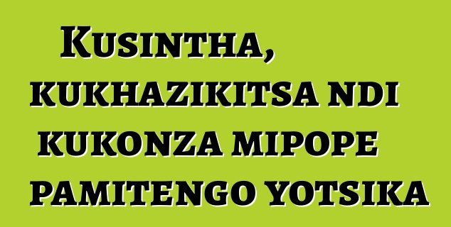 Kusintha, kukhazikitsa ndi kukonza mipope pamitengo yotsika