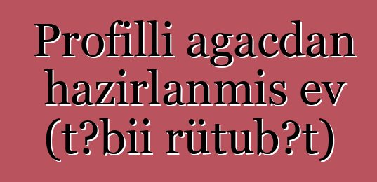 Profilli ağacdan hazırlanmış ev (təbii rütubət)