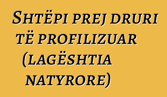 Shtëpi prej druri të profilizuar (lagështia natyrore)