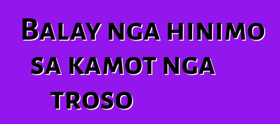 Balay nga hinimo sa kamot nga troso