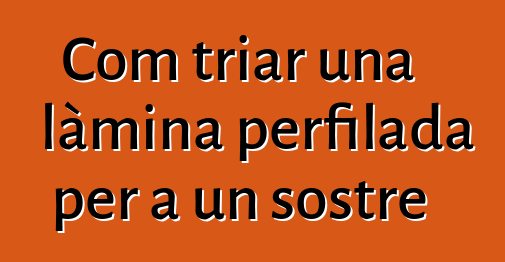 Com triar una làmina perfilada per a un sostre