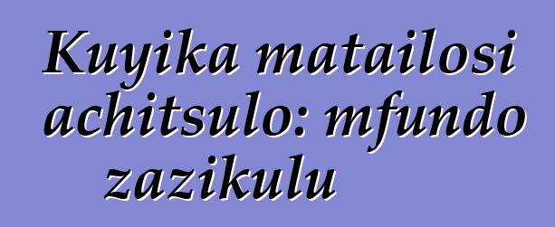 Kuyika matailosi achitsulo: mfundo zazikulu