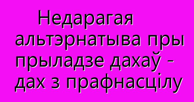 Недарагая альтэрнатыва пры прыладзе дахаў - дах з прафнасцілу