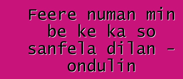 Fɛɛrɛ ɲuman min bɛ kɛ ka so sanfɛla dilan - ondulin