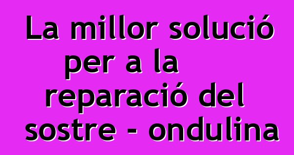 La millor solució per a la reparació del sostre - ondulina