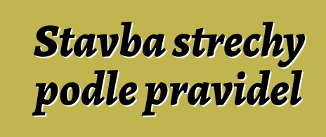 Stavba střechy podle pravidel