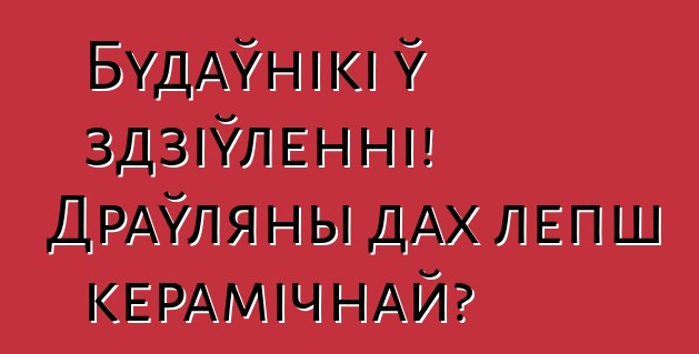 Будаўнікі ў здзіўленні! Драўляны дах лепш керамічнай?