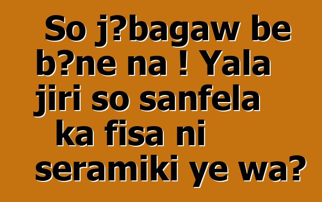 So jɔbagaw bɛ bɔnɛ na ! Yala jiri so sanfɛla ka fisa ni seramiki ye wa?