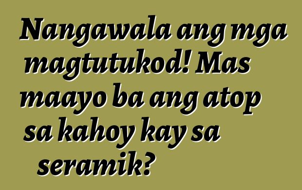 Nangawala ang mga magtutukod! Mas maayo ba ang atop sa kahoy kay sa seramik?