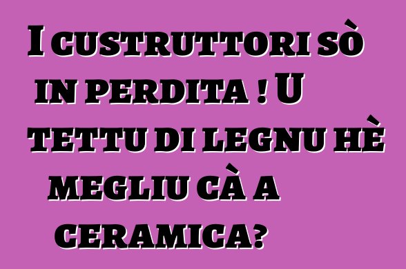 I custruttori sò in perdita ! U tettu di legnu hè megliu cà a ceramica?