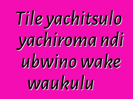 Tile yachitsulo yachiroma ndi ubwino wake waukulu