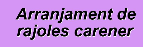 Arranjament de rajoles carener