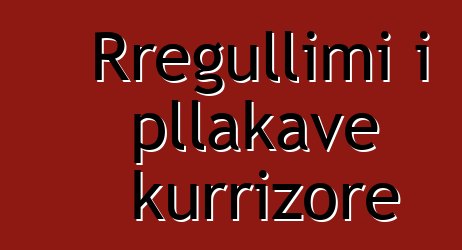 Rregullimi i pllakave kurrizore