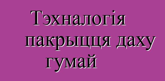 Тэхналогія пакрыцця даху гумай