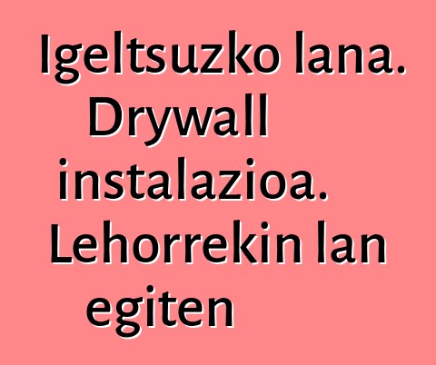 Igeltsuzko lana. Drywall instalazioa. Lehorrekin lan egiten