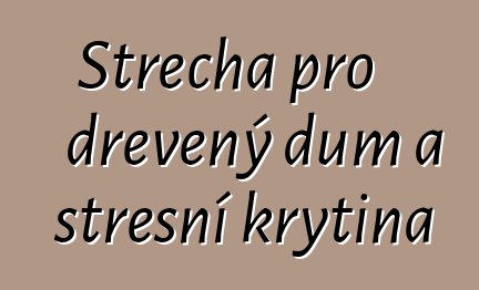 Střecha pro dřevěný dům a střešní krytina