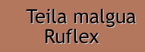 Teila malgua Ruflex